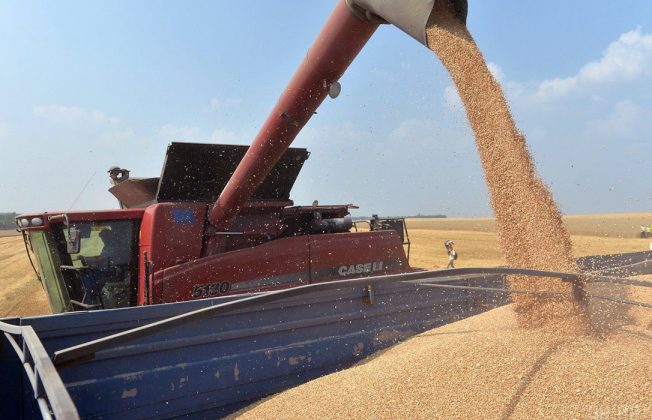 El mercado cerealista experimenta una montaña rusa de precios, con subidas hasta el miércoles y caída posterior a nivel de la semana anterior