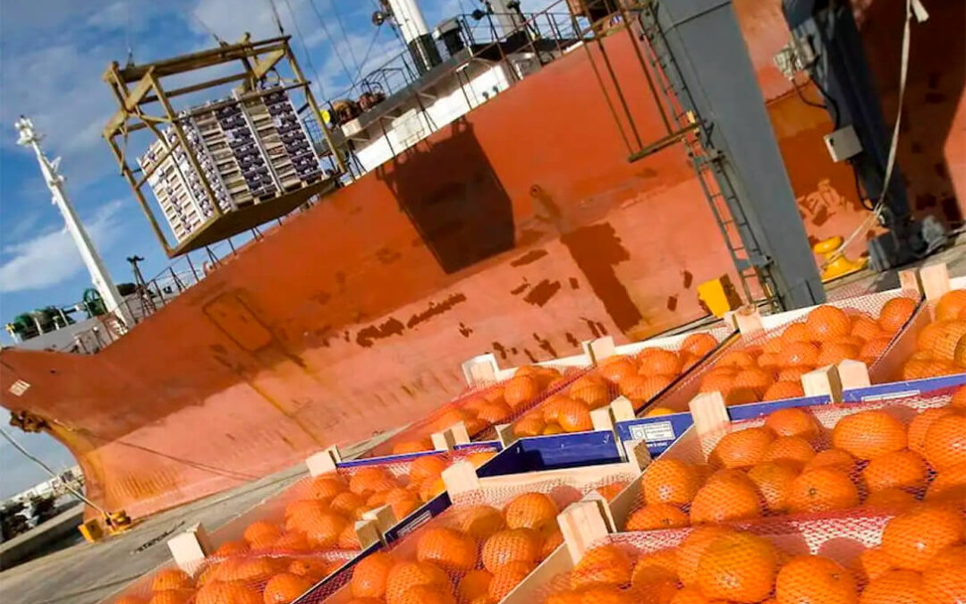 Puertos del Estado acuerda revisar las bonificaciones en las tasas portuarias que se conceden a los cítricos importados de terceros países