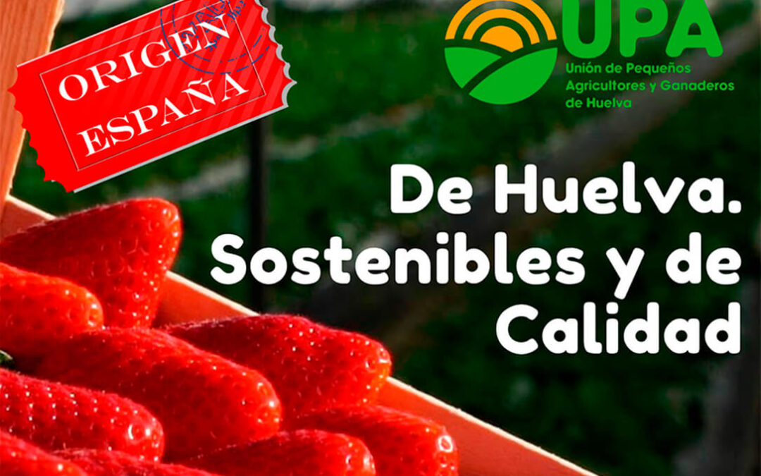 Repartirán más de 2.000 tarrinas de fresas de Huelva en la Puerta del Sol tras la polémica sobre el caso de hepatitis A en fresas marroquíes