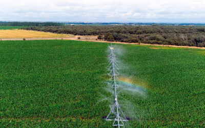 Nace Smart Green Water, un nuevo proyecto europeo de cooperación para mejorar el uso del agua en agricultura