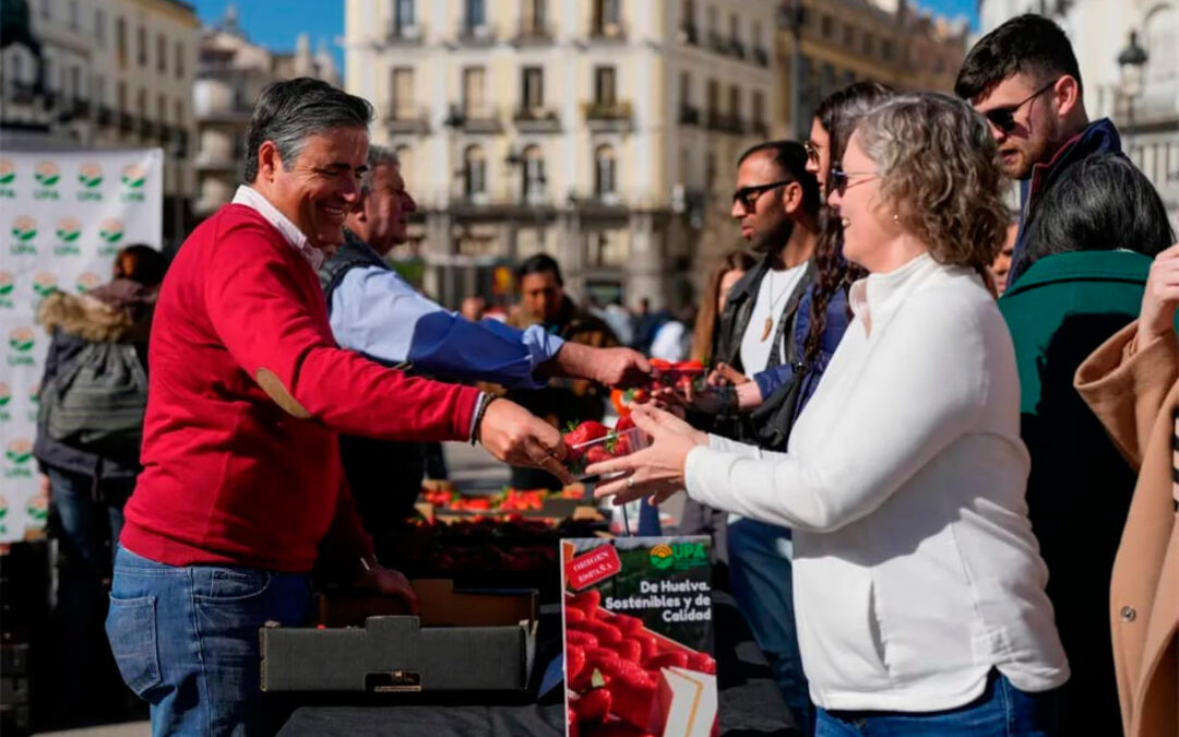 Reparto gratuito en Madrid de unas fresas de Huelva que hacen furor en la Puerta del Sol: «Tranquilos, hay para todos»