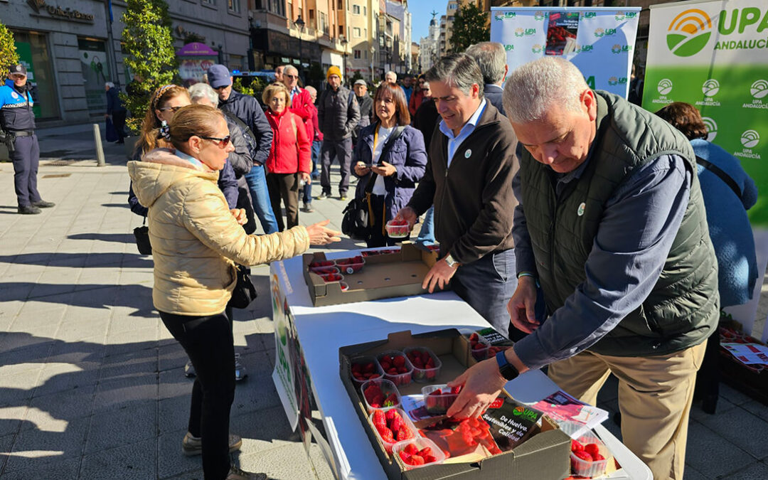 La campaña a favor de la calidad de las fresas de Huelva llega hasta el corazón de Castilla y León, lugar de nacimiento de las plantas