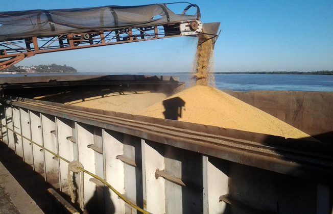 La importación española de cereal subió un 24% en 2023 marcada por el influjo de Ucrania y provocando la caída de la cotización nacional