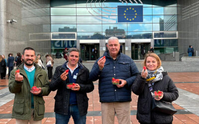 La calidad de las fresas de Huelva llega hasta el corazón de Europa con el reparto de más de 1.000 tarrinas en Bruselas