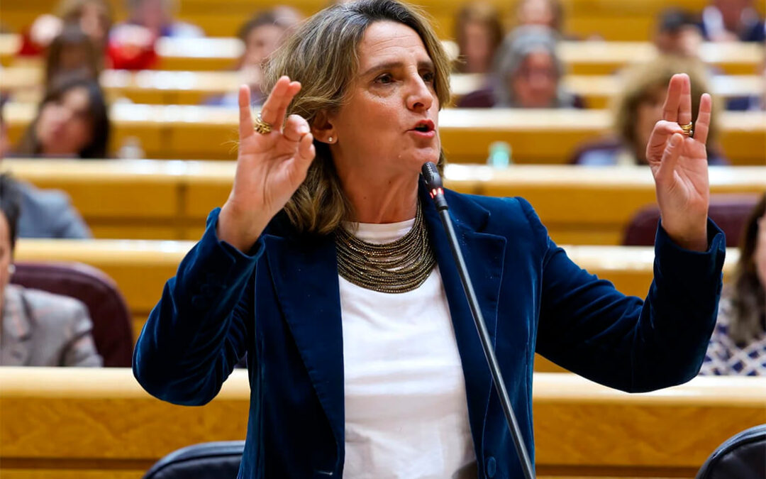 Enfado y rechazo de gran parte de Asaja a la designación de Teresa Ribera como cabeza de lista del PSOE a las próximas elecciones europeas