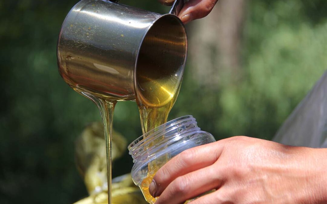 La Eurocámara aprueba las normas de etiquetado de mermeladas, zumo de frutas y miel, que deberá detallar los países de origen y su porcentaje