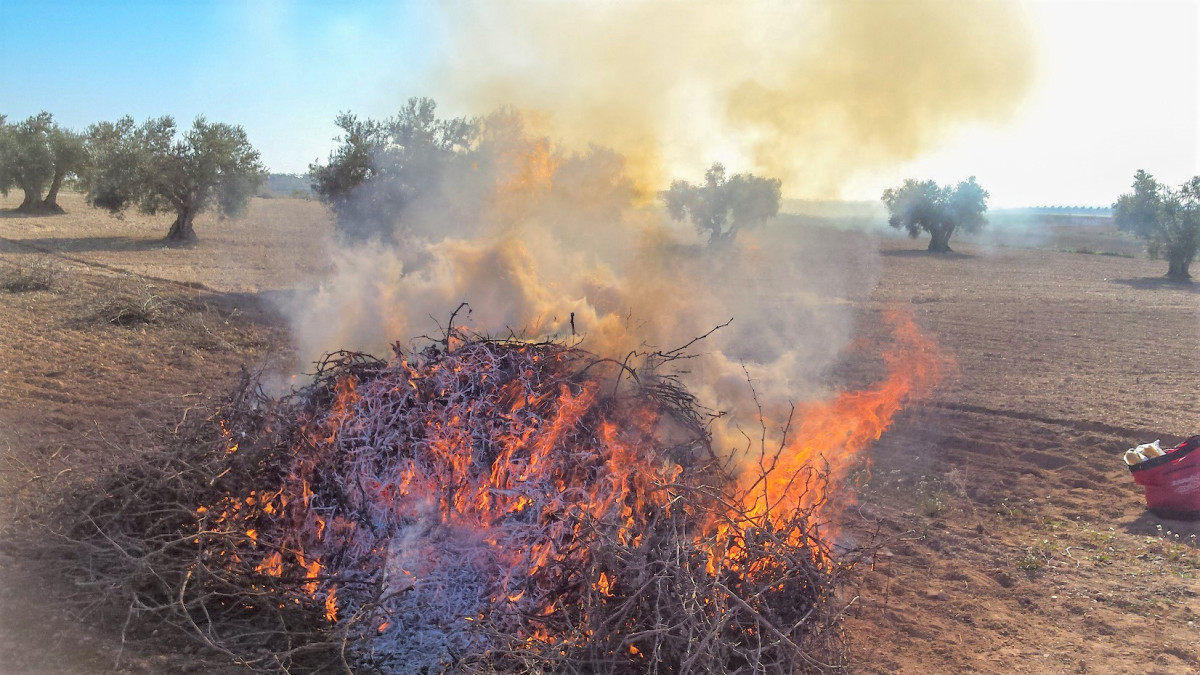 Califican de contraproducente la prohibición de quemas agrícolas y piden un plan adaptado a las zonas