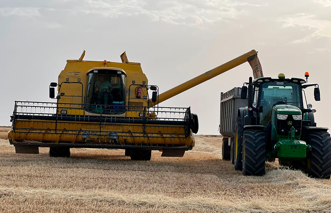 Buenos datos: la primera estimación de cosecha de cereales alcanzará los 20,09 millones de toneladas, un 93,6% más que en la pasada campaña
