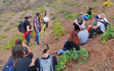 Más de 700 estudiantes de 42 universidades podrán realizar prácticas en entornos rurales en verano en municipios de menos de 5.000 habitantes