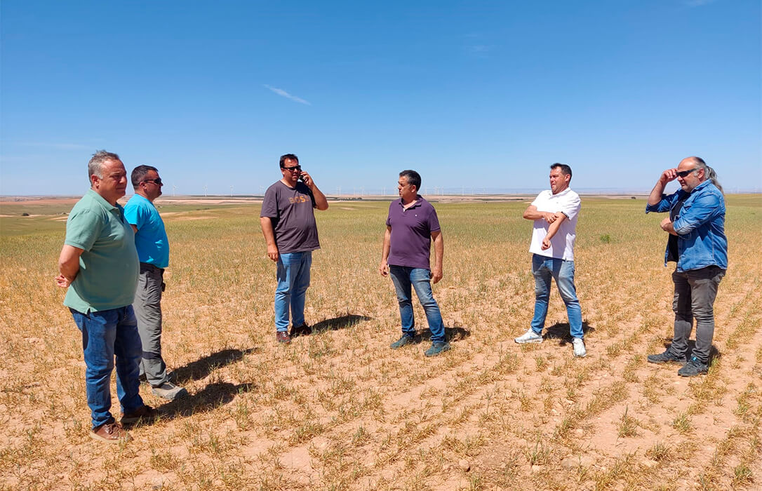 La sequía arruina 146.000 hectáreas de cereal en Aragón y piden “ayudas quirúrgicas” para los agricultores que no van a tener ingresos