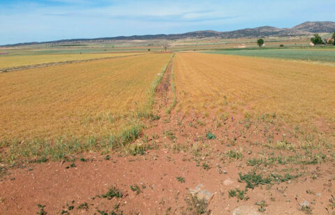 Valoran positivamente el giro de la Consejería de Agricultura de Aragón en la activación de ayudas directas por la sequía