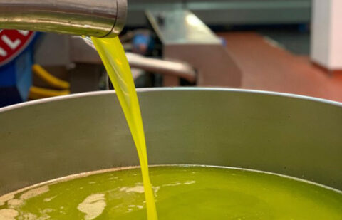 El precio del aceite de oliva en origen repunta un 11% desde abril debido al buen ritmo de las ventas