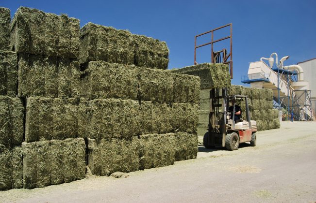 La fuerte sequía ha provocado una caída del 22% en la producción de alfalfa y forrajes deshidratados según el sector