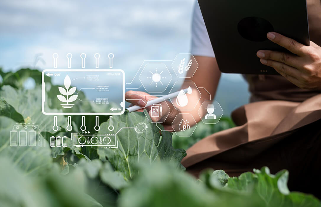 El proyecto AgrarIA aplica la inteligencia artificial a la agricultura para hacer frente a la crisis hídrica