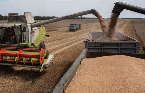 El riesgo climático mundial y las tensiones políticas elevan el precio de los cereales con subidas de hasta 7 euros en la lonja de León