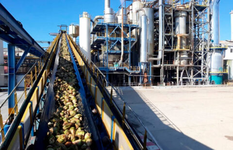 Azucarera aspira a elevar su producción entre un 35 y un 40% ante el buen momento del sector remolachero español
