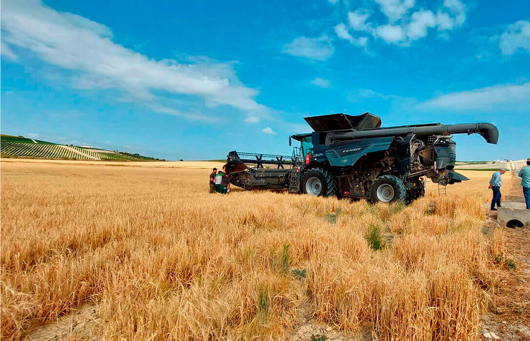 Aumenta el enfado por la bajada de precios de los cereales e insisten en que se debe vigilar a los operadores cerealistas