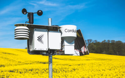 El clima agrícola en tus manos: Cordulus Farm permite pronósticos meteorológicos hiperlocales que mejoran la rentabilidad de los cultivos