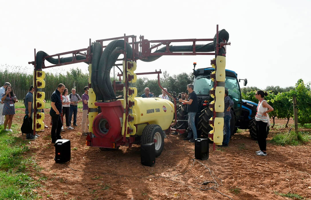 NOVATERRA: un proyecto internacional liderado por el IRTA avanza hacia la reducción de fitosanitarios en el cultivo del olivo y el viñedo
