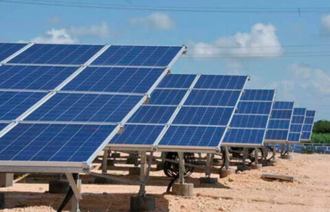 Los parques fotovoltaicos ocupan en España una extensión equivalente al 0,2% de la superficie agraria útil pese a subir un 166%