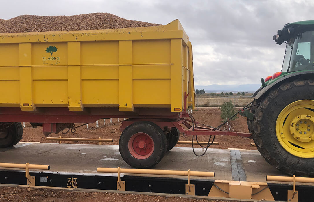 Los productores de almendra denuncia el expolio al que están sometiendo al sector en beneficio de la importada por valor de 100 millones