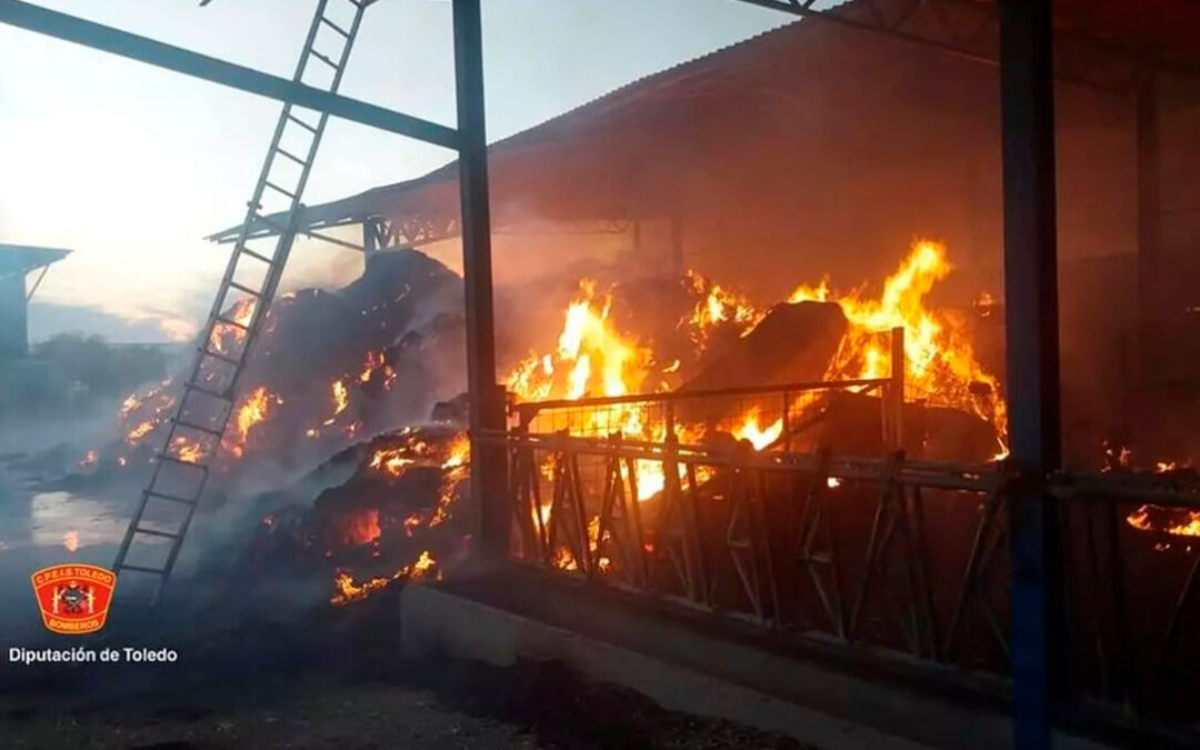 Dieciséis terneros muertos y 120 toneladas de paja quemadas en un gran incendio ocurrido en una vaquería de Toledo