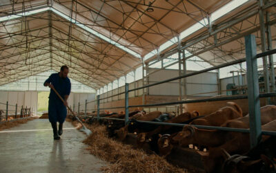 El sector lácteo español muestra su compromiso medioambiental y presenta su hoja de ruta sostenible para los próximos años