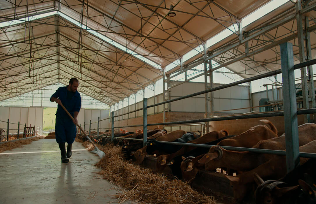 El sector lácteo español muestra su compromiso medioambiental y presenta su hoja de ruta sostenible para los próximos años