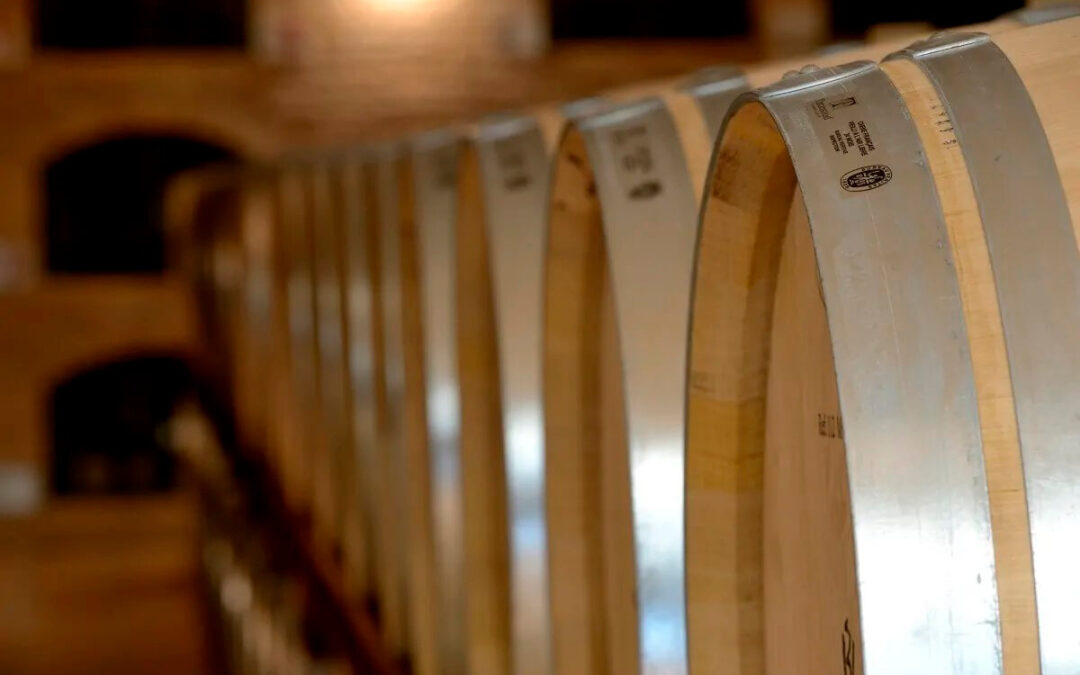 La Asociación Bodegas de Navarra (ABN) se refunda con el fin de impulsar la calidad y promoción de los vinos navarros