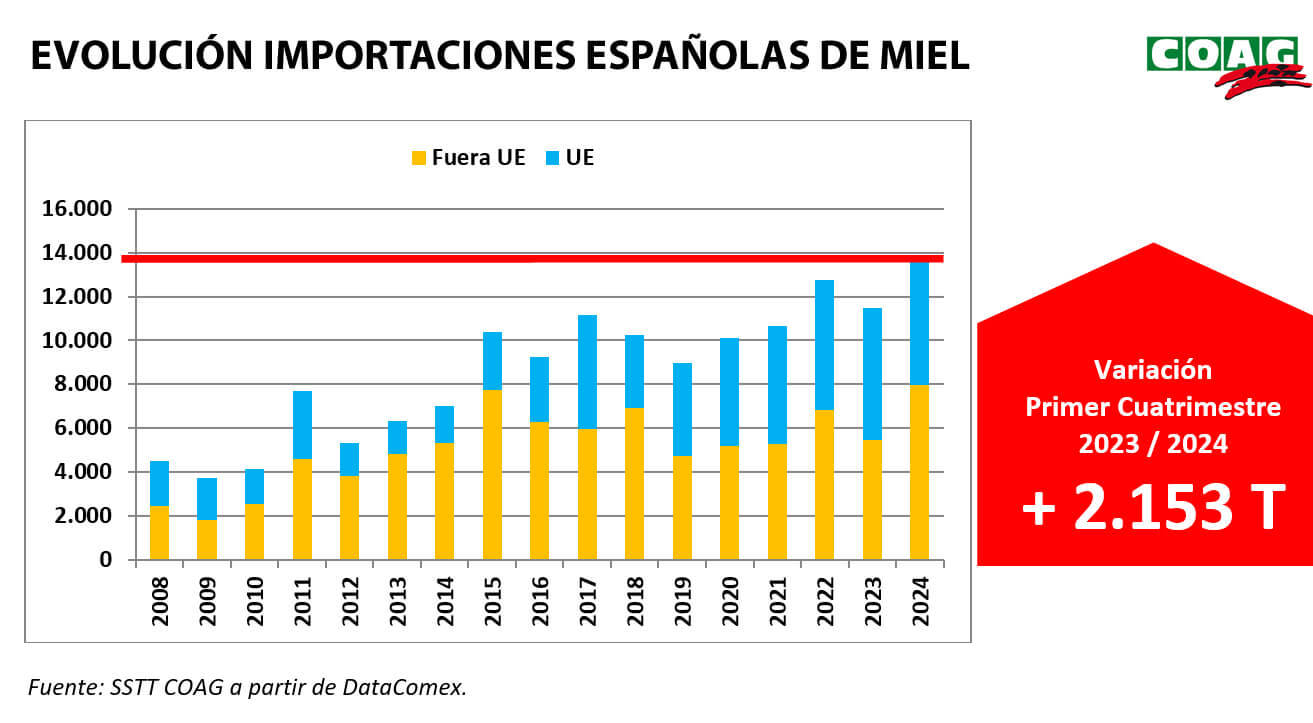 España importa más miel de “dudosa calidad” que nunca: China recupera su liderazgo como principal país de origen
