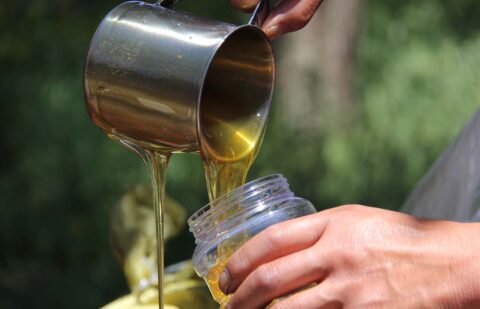 El Ministerio de Agricultura inicia el trámite de audiencia pública para modificar la norma de calidad de la miel y mejorar su competitividad