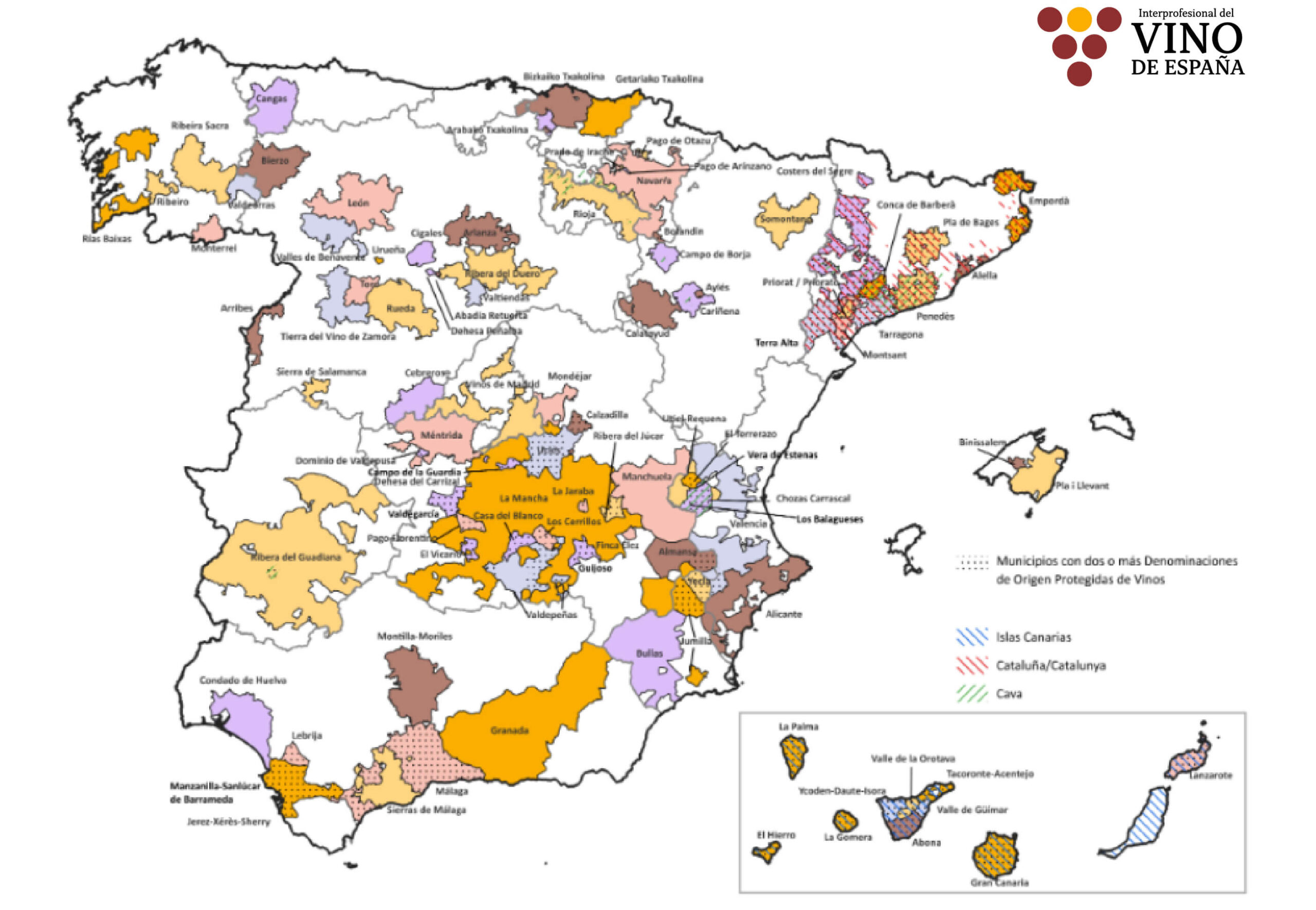 Impulso demográfico: los pueblos con viñedo mantienen cerca de un 53% más de población que los que carecen de él