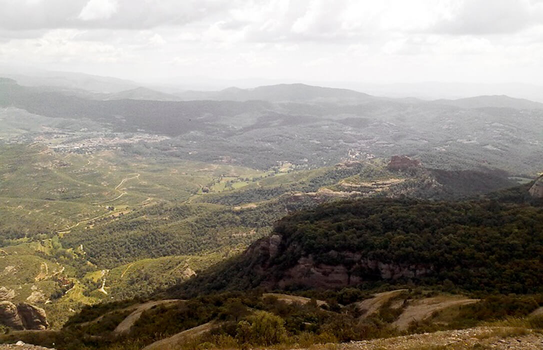 Tensión con la Generalitat catalana: el sector agrícola y ganadero pide más participación en la creación de la Agencia de la Naturaleza