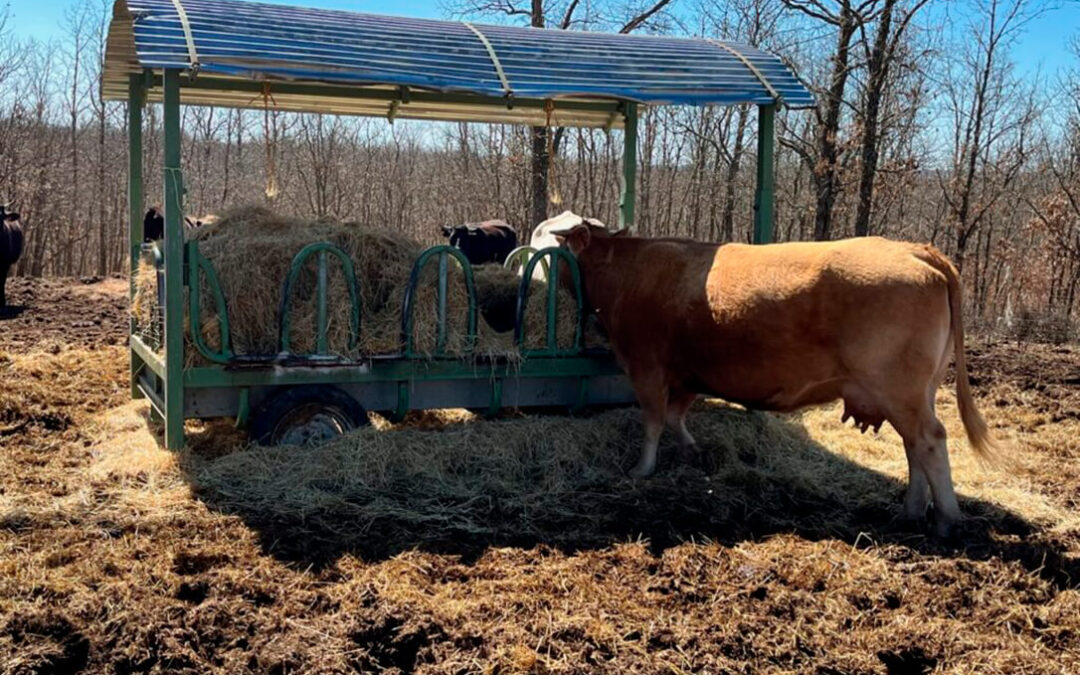 El Ministerio de Agricultura constata un ligero aumento de la superficie y número de animales con ayudas asociadas de la anterior PAC