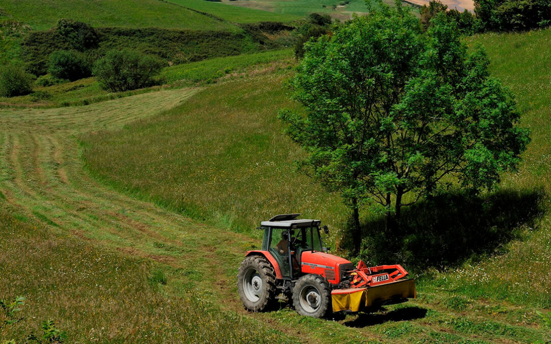 Ayudas de 1,2 millones para impulsar la creación en Euskadi de cooperativas agrarias con un topo máximo de 300.000 euros