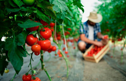 Andalucía quiere crear el primer Biodistrito: una zona geográfica para el desarrollo de mercados de proximidad ligados a la Producción Ecológica