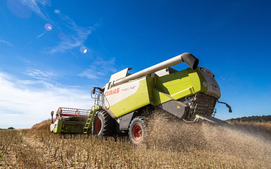 La cosecha de trigo blando en Francia, una de las más bajas en los últimos 40 años, cae un 24,9% en un año  junto al resto de cereales