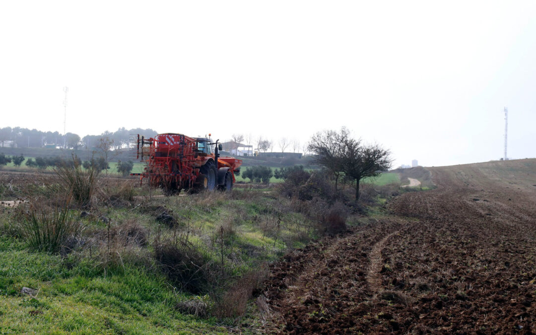 Los agricultores y ganaderos españoles reciben 5.066 millones de euros hasta julio de los pagos acumulados de la PAC