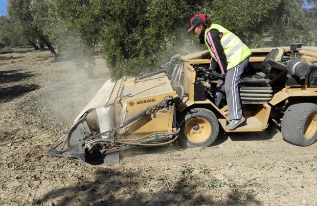 Andalucía abrirá otra convocatoria de ayudas con 130 millones para la implantación de nuevas explotaciones a cargo de menores de 40 años