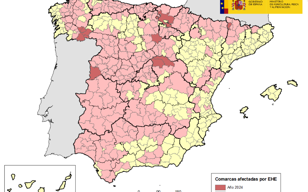 Detectan tres nuevos focos de la EHE en explotaciones de bovino de Burgos, Álava y Lérida donde ya se dieron casos el pasado año