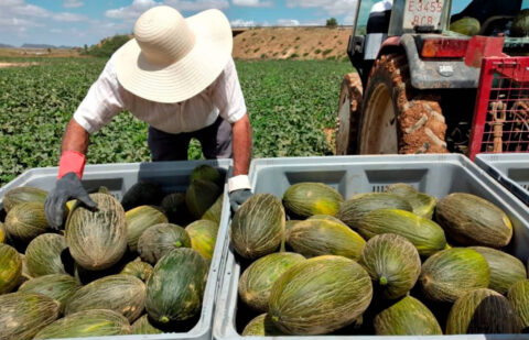 El paro en la agricultura cae el 1,68% en julio hasta los 89.763 desempleados y la afiliación al Sistema Especial Agrario lo hace un 5,8%