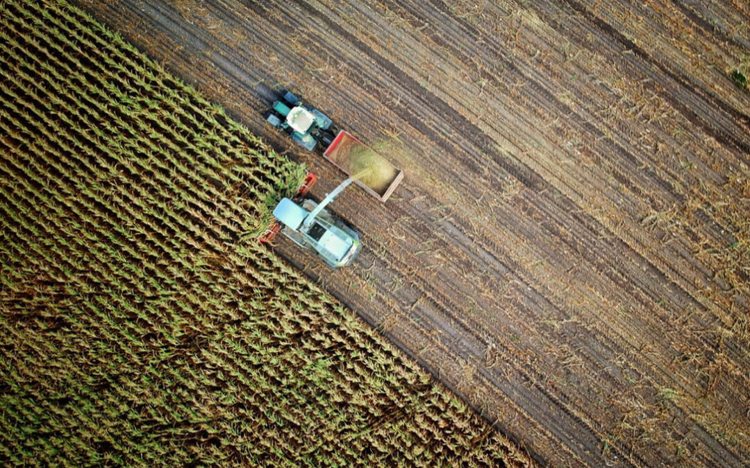 El Gobierno define y abre el próximo 19 de septiembre el segundo Perte agroalimentario con 100 millones en ayudas y 200 en préstamos