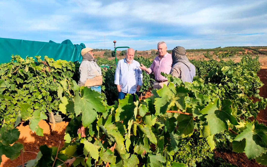 Unos vinos muy bien defendidos: La DOP Condado de Huelva y la Subdelegación de Defensa acuerdan un convenio de colaboración