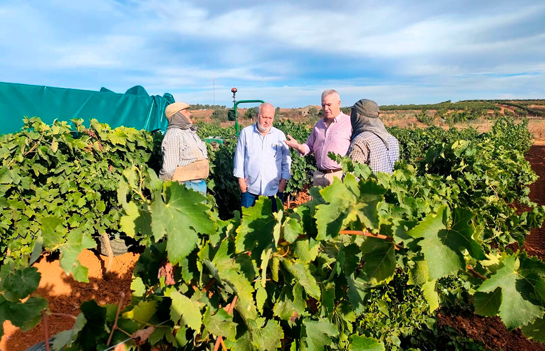 Unos vinos muy bien defendidos: La DOP Condado de Huelva y la Subdelegación de Defensa acuerdan un convenio de colaboración