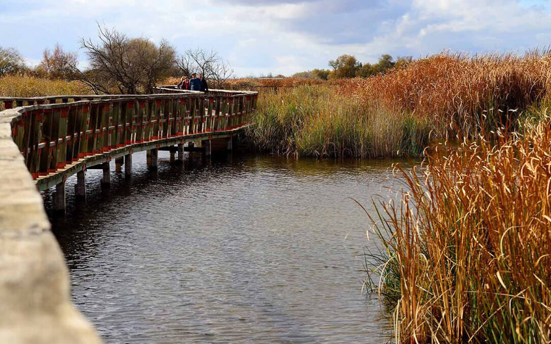 La Junta de CLM y UPA analizan soluciones para recuperar el Parque Nacional de Las Tablas de Daimiel y su entorno