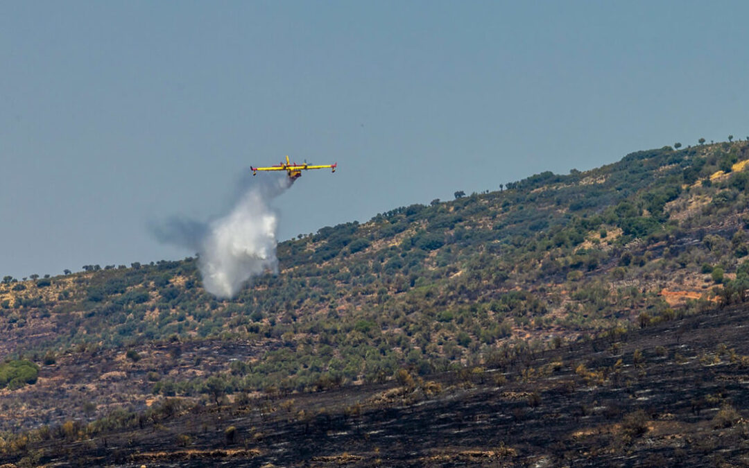 Solicitan a Page una comisión de investigación sobre el incendio de La Estrella y que indemnice urgentemente a los ganaderos