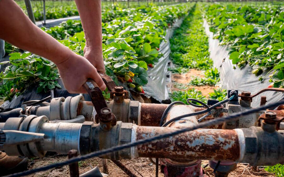 Los regantes reclaman una segunda modernización con más tecnología y digitalización y más equilibrio en los usos del agua