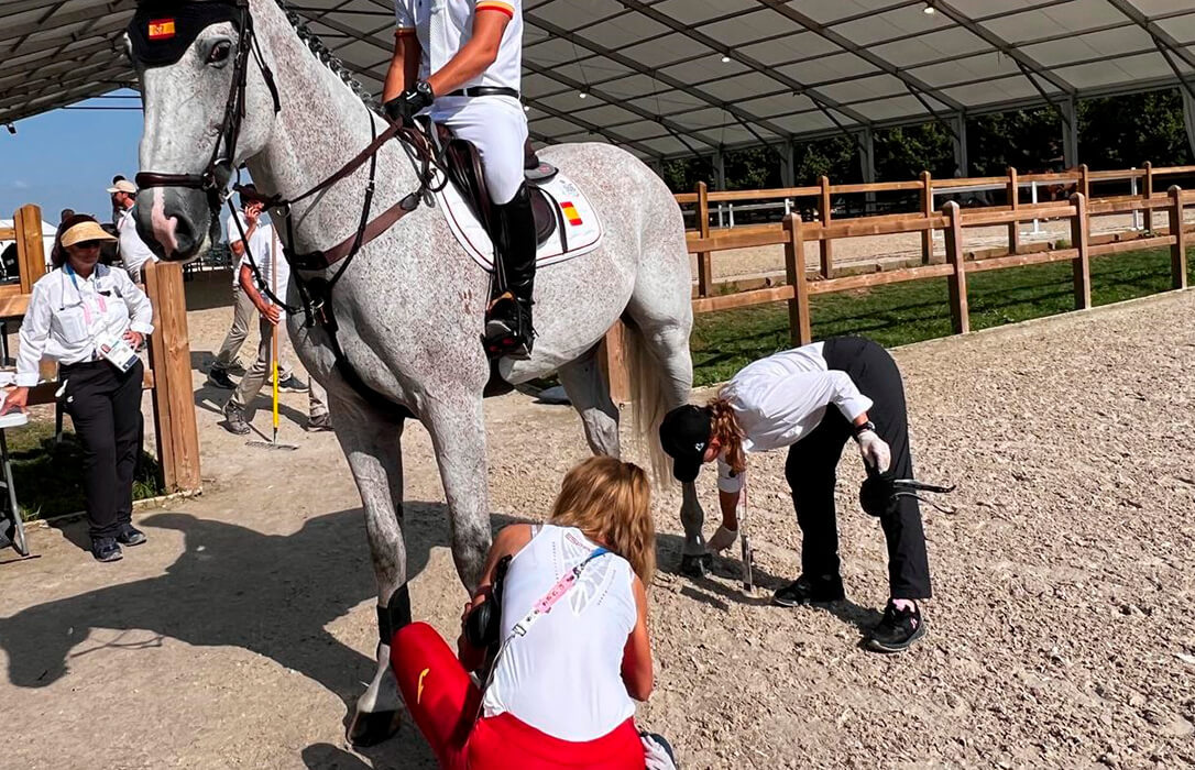 Dos veterinarios del colegio de Madrid se encargan de asegurar el perfecto estado de los caballos durante los Juegos Olímpicos de París