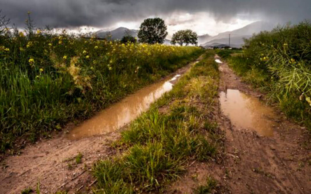 Piden a los ayuntamientos que protejan los caminos rurales en especial en las zonas remolacheras a dos meses de la recolección