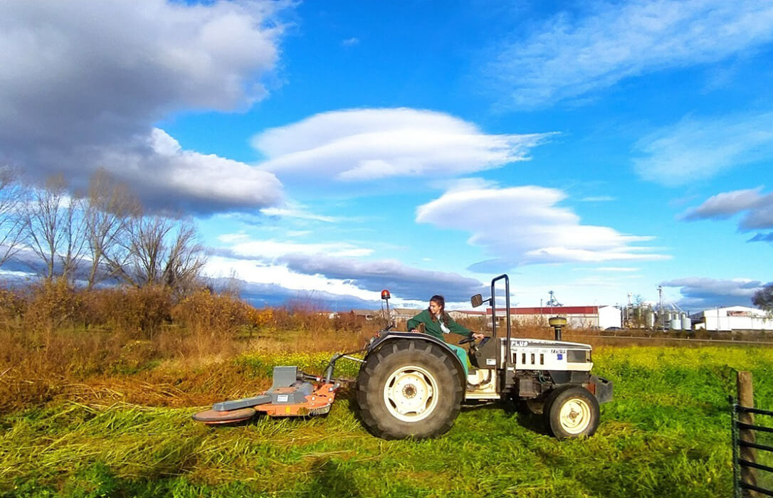 Exigen al Ministerio y a la Consejería de Agricultura y Ganadería extremeña que autoricen el anticipo del 70% de las ayudas PAC el 16 de octubre